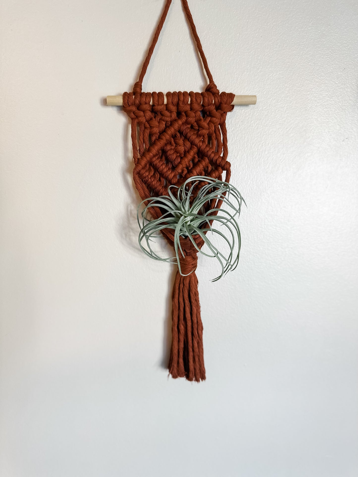 Air Plant Hanger