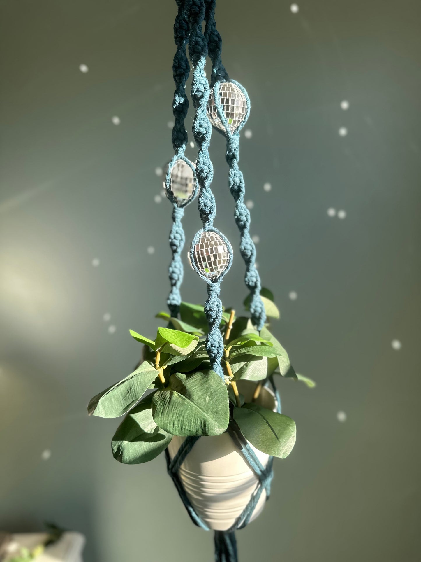 Disco Ball Plant Hanger