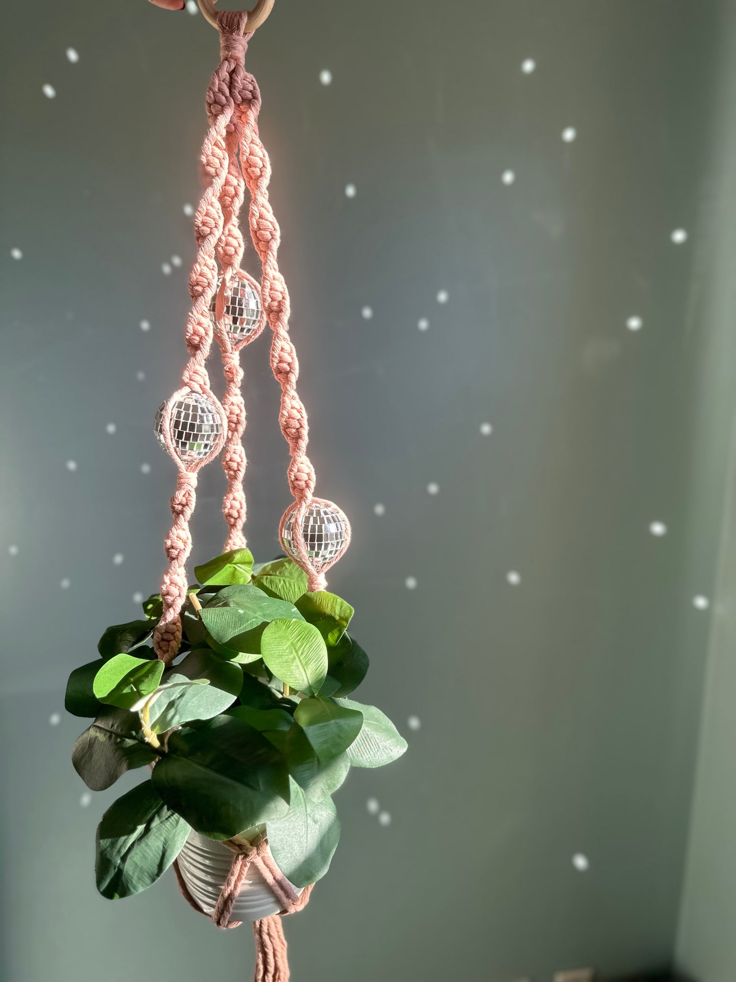Disco Ball Plant Hanger