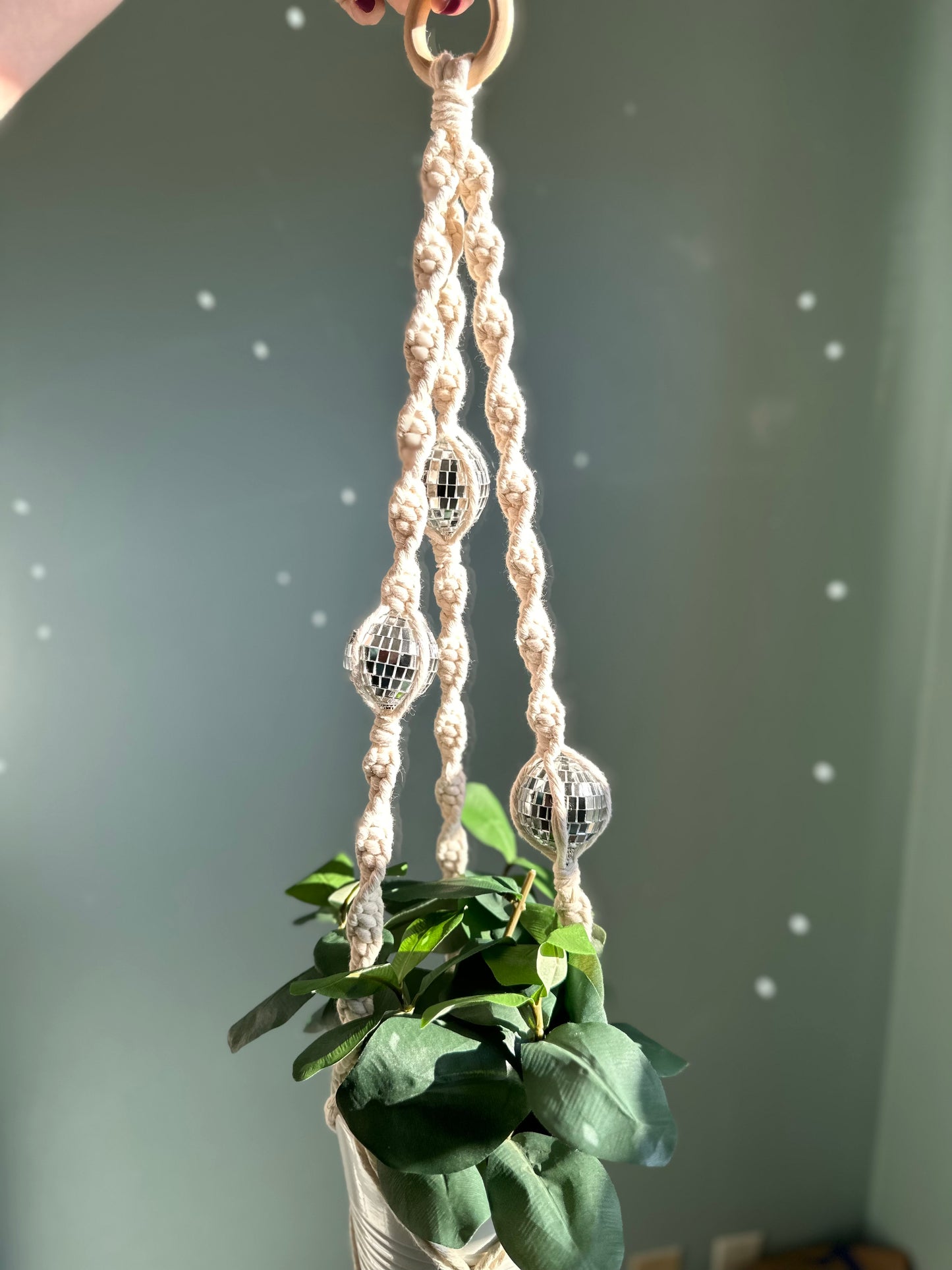 Disco Ball Plant Hanger