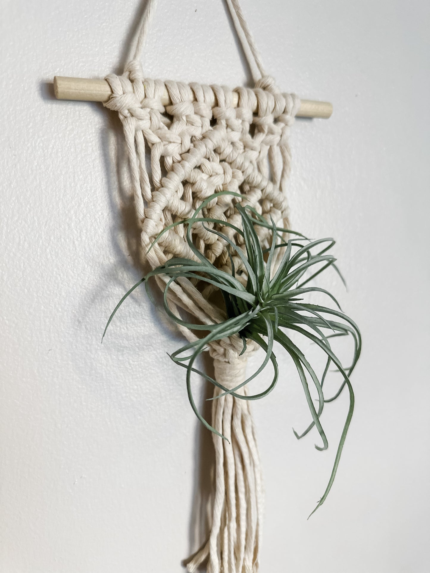 Air Plant Hanger
