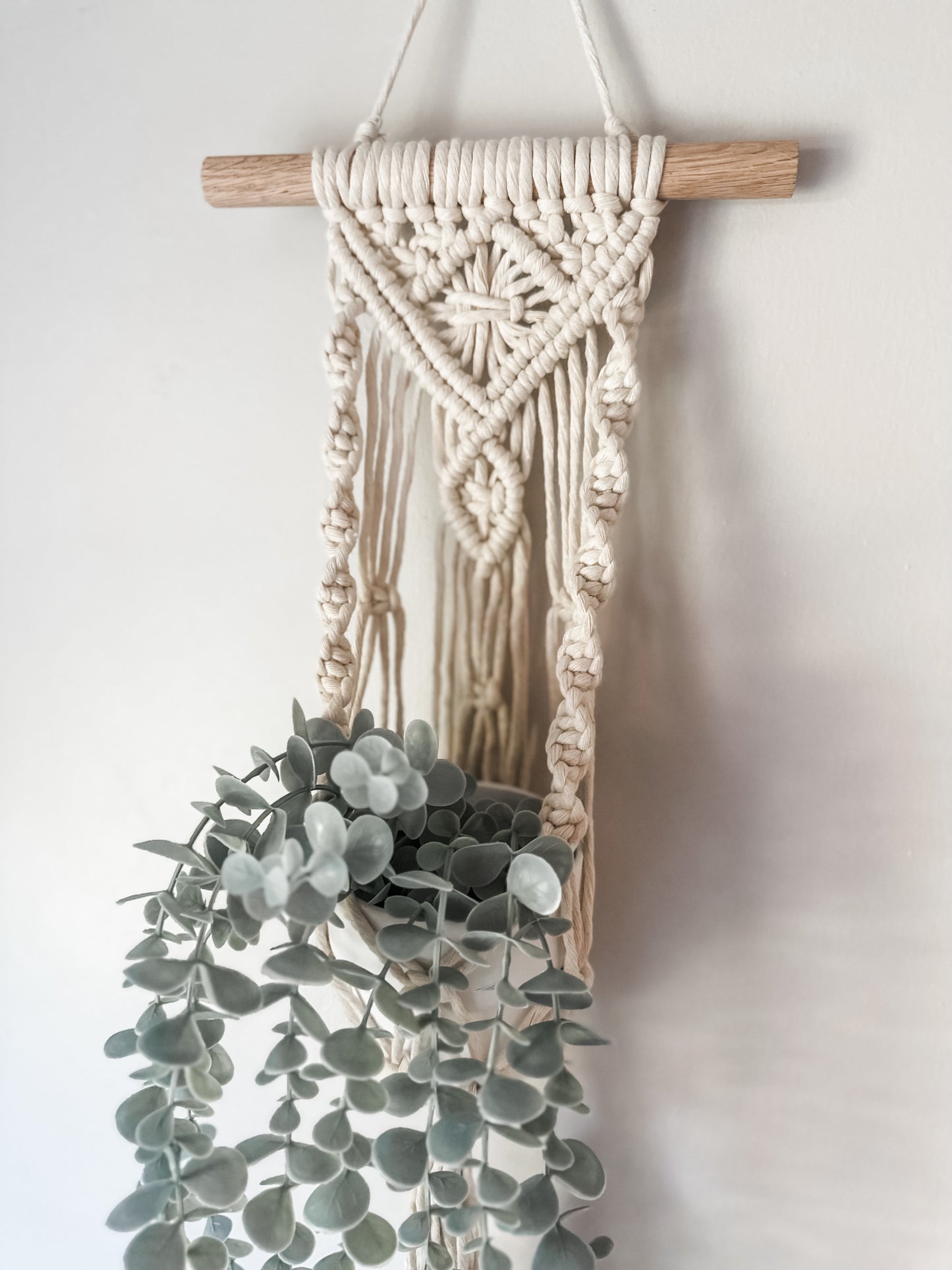 Darcy Wall Plant Hanger