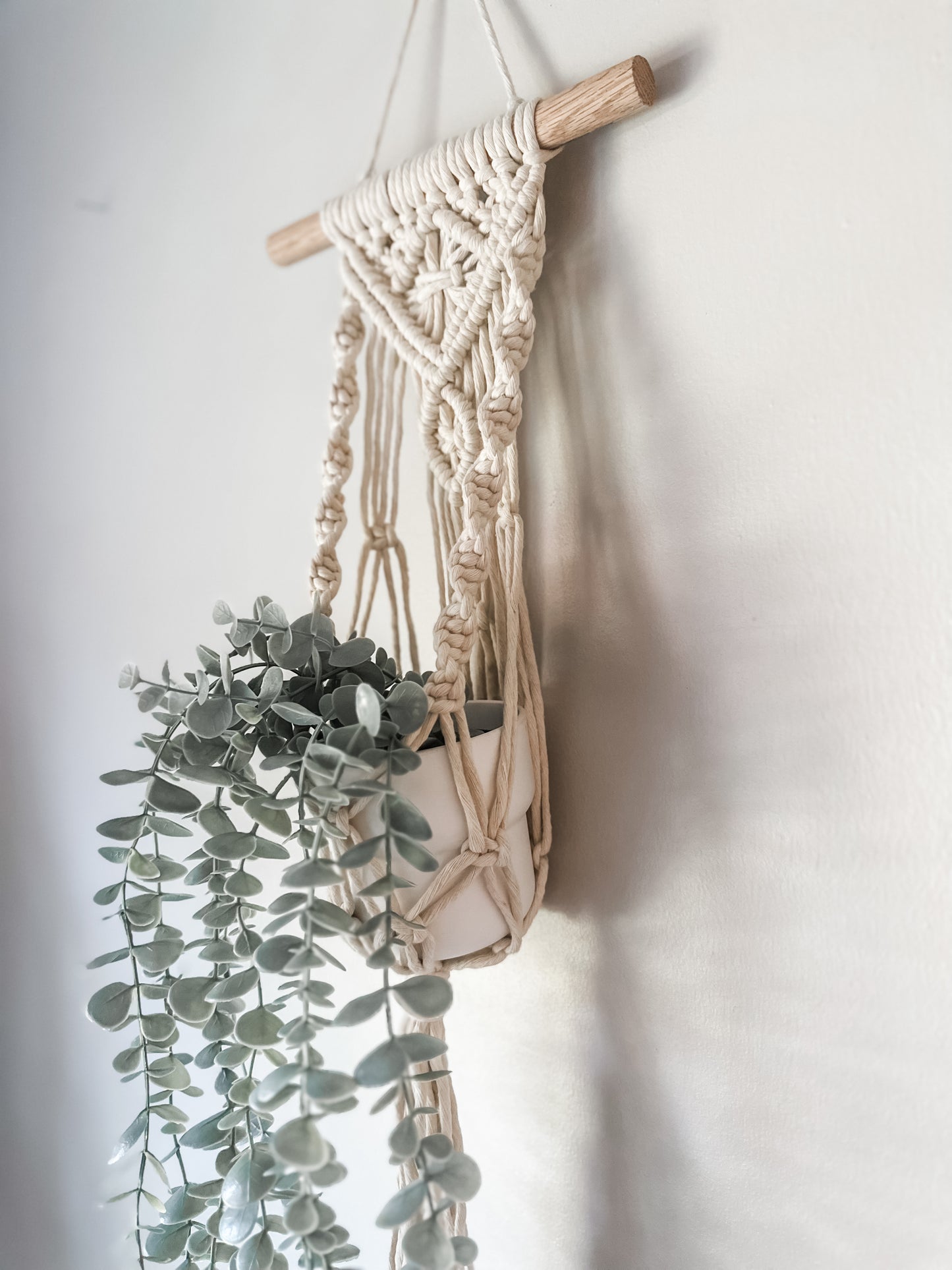 Darcy Wall Plant Hanger