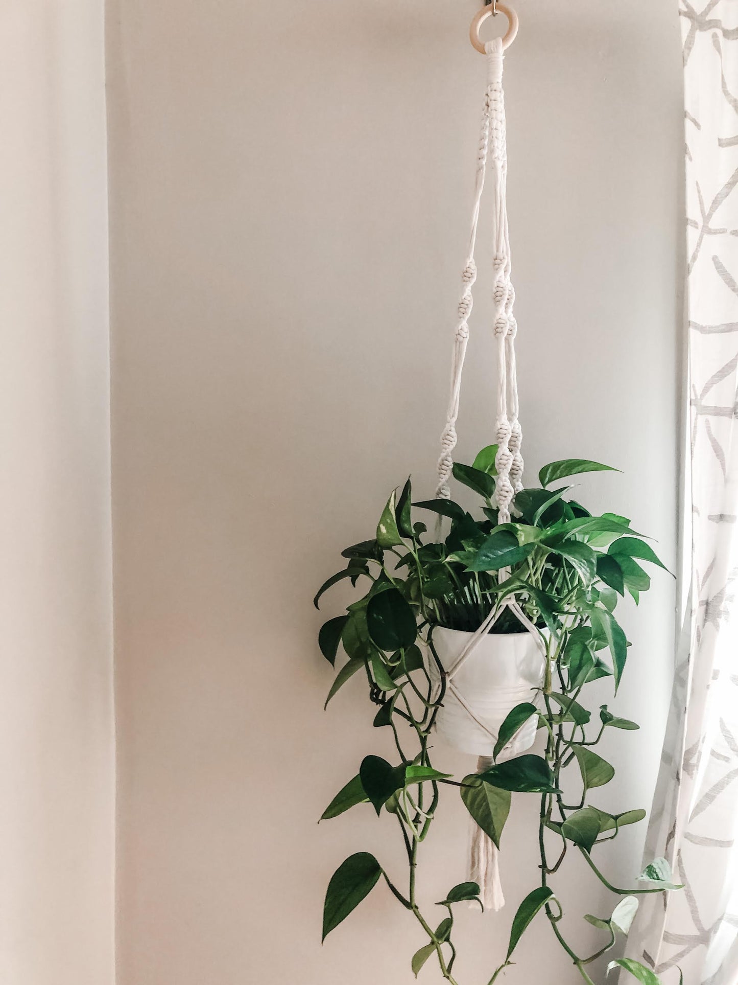 Plant Hanger