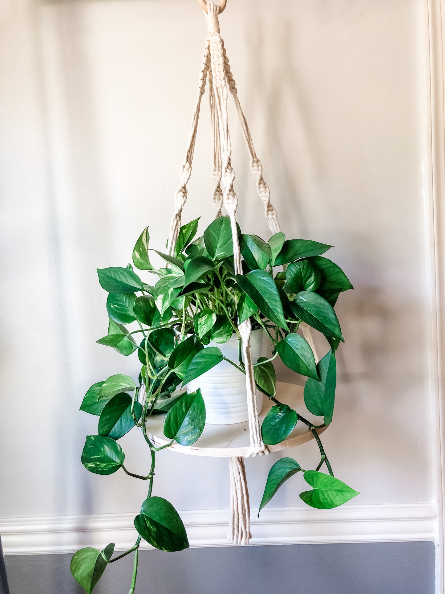 Plant Shelf