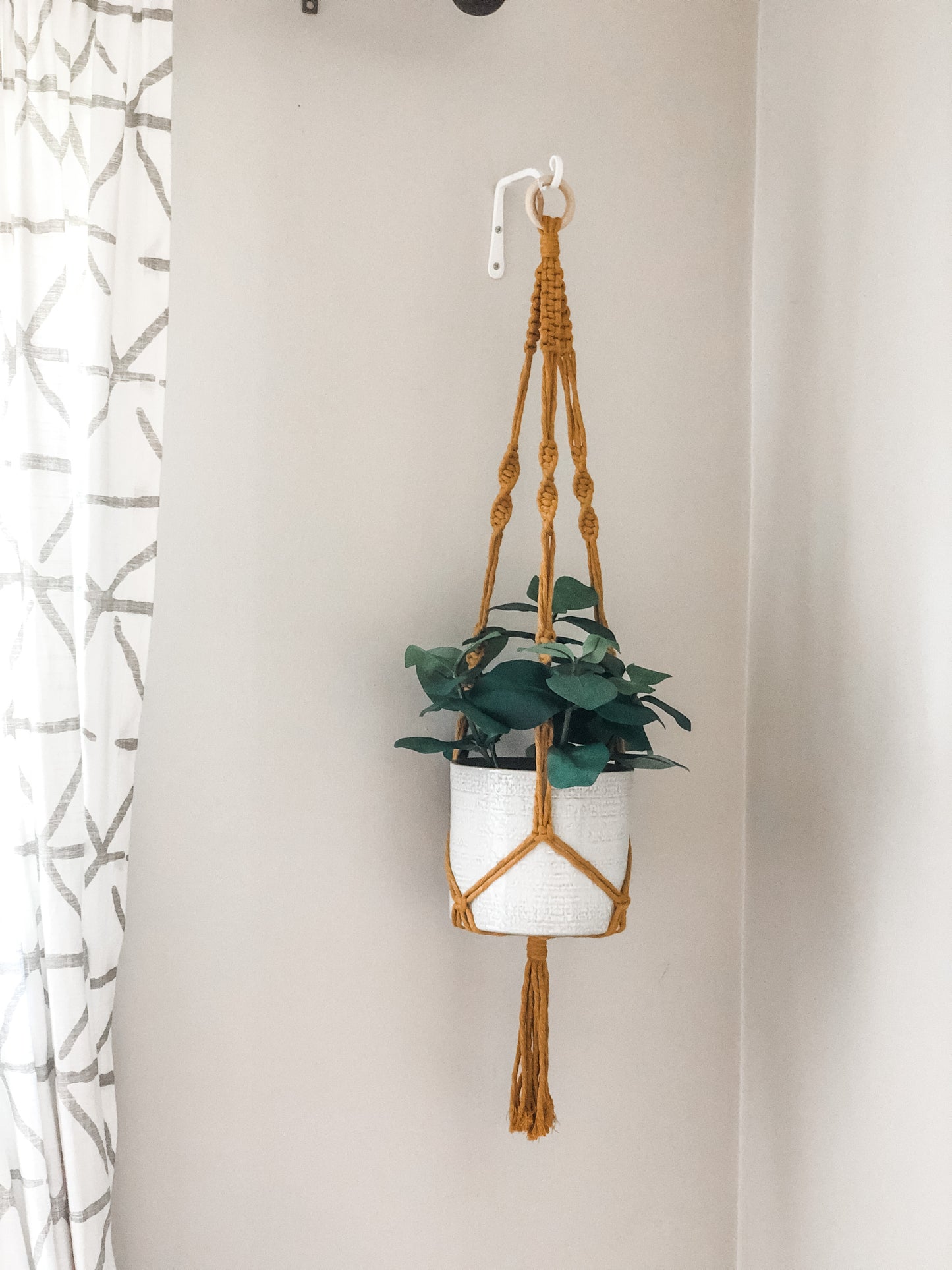 Plant Hanger