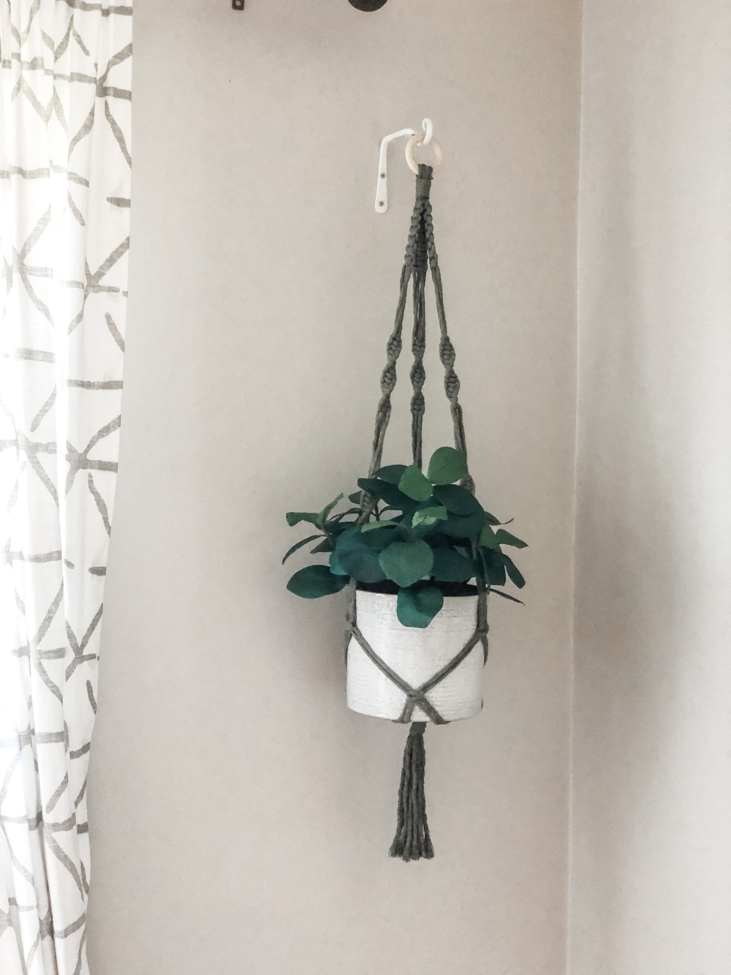 Plant Hanger