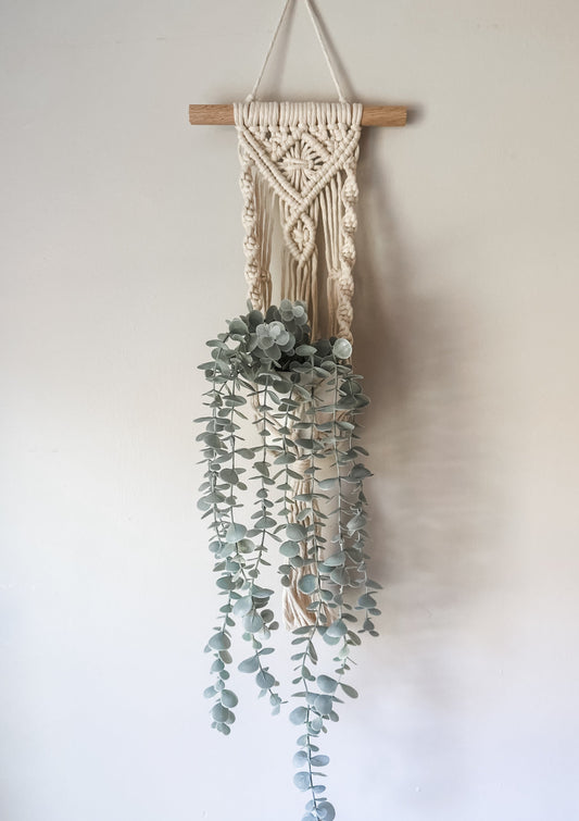 Darcy Wall Plant Hanger