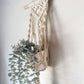 Darcy Wall Plant Hanger