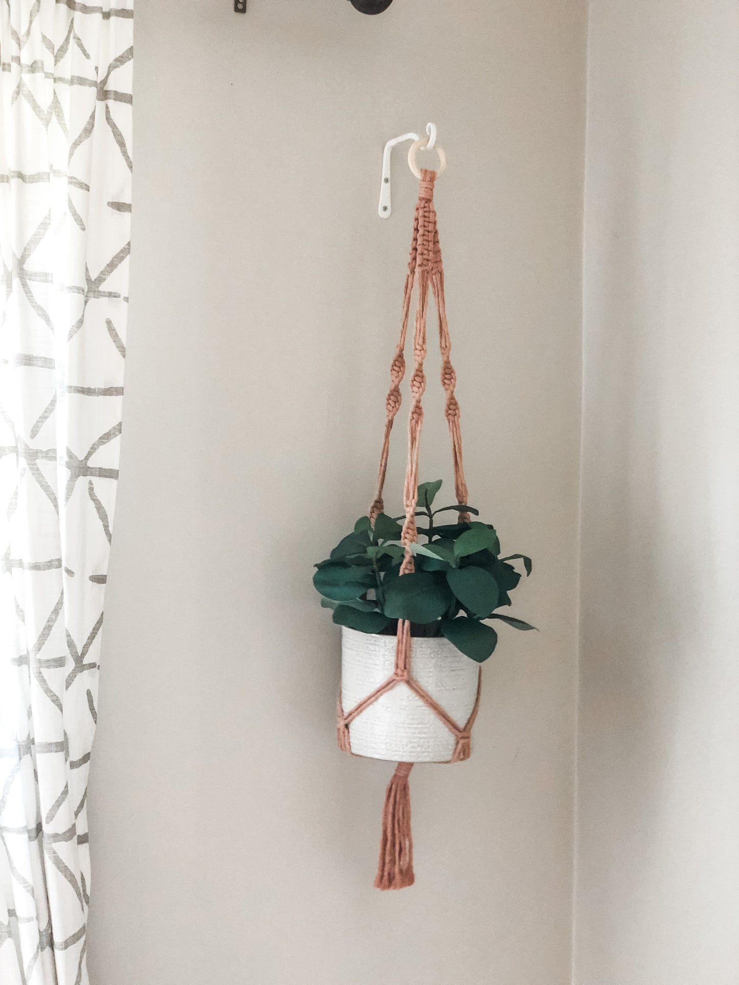 Plant Hanger