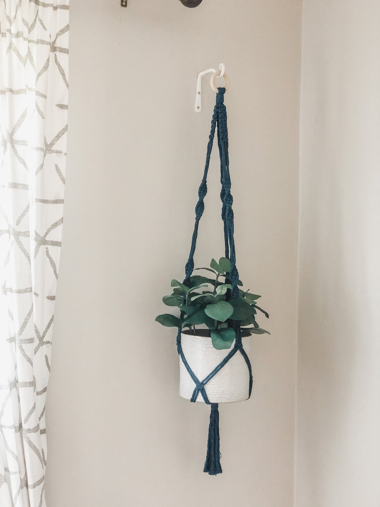 Plant Hanger