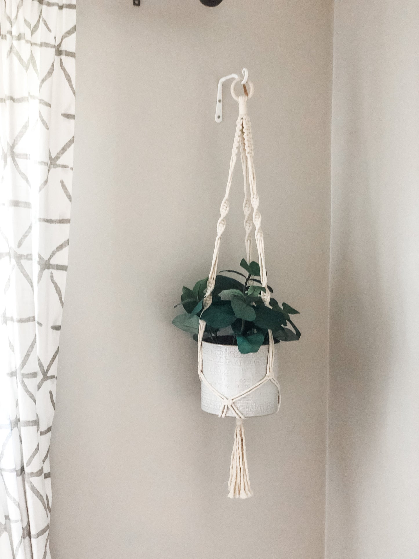 Plant Hanger